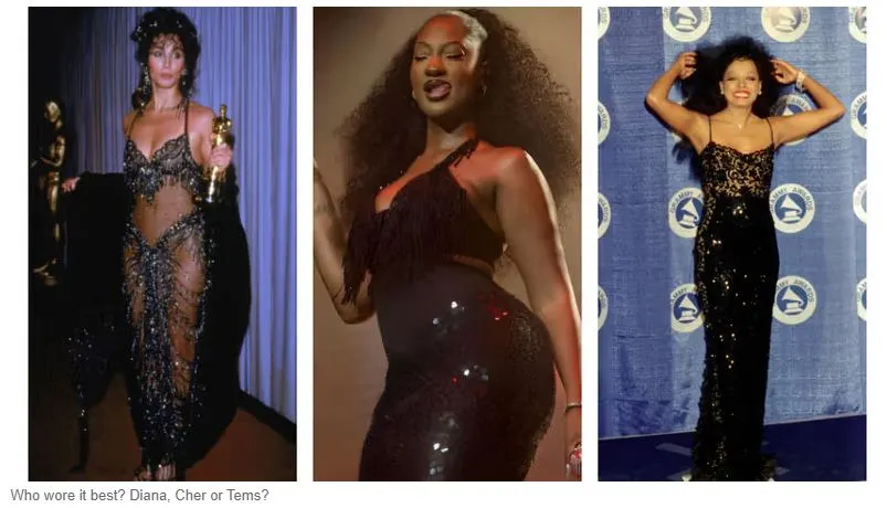 Who wore it better, between Tems Diana ross and Cher