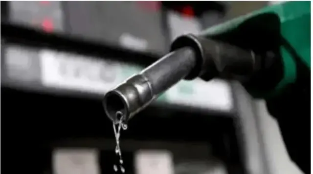 Capturen-ezgif.com-png-to-webp-converter (14) Petrol