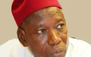 Ganduje Warns ENSIEC of Legal Action Over Enugu LG Poll, APC Factions
