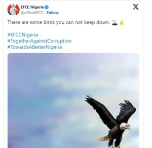 EFCC Returns to Twitter: "Some Birds Can't Be Kept Down"
