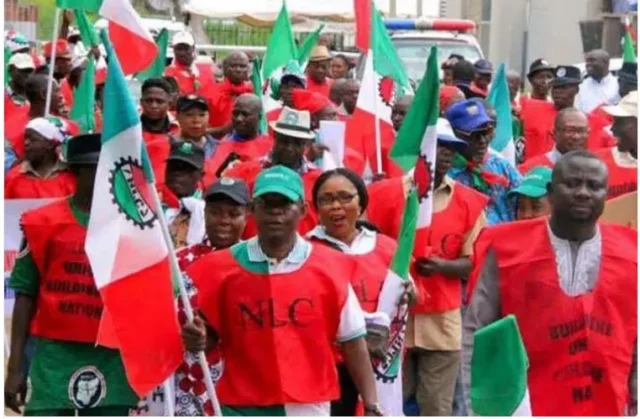 NLC Defends Statement on Betrayal Allegation