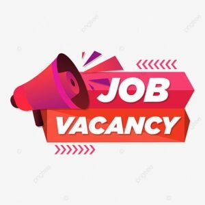 Job Title: Accountant Location: Abuja Salary : 300,000