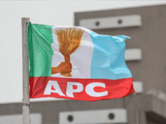 Poverty: Stop blaming Tinubu, states and LGs control most key factors — APC Morka Alakija