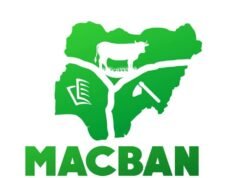 Plateau MACBAN raises alarm, petitions Gov. Mutfwang, DSS, OPEP over alleged attacks on herders, cattle poisoning MACBAN
