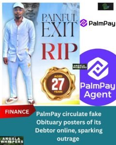 PalmPay