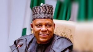 Vice president Shettima
