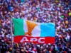Election Result Full List: APC wins 5 FCT councils, PDP 1 election