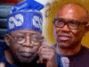 “No Right-Thinking Igbo Will Back Tinubu Over Obi in 2027” — ADC’s Nwosu peter obi