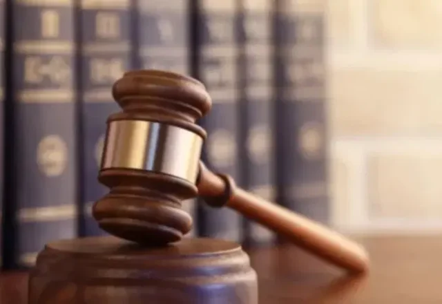 Court1 customs officer