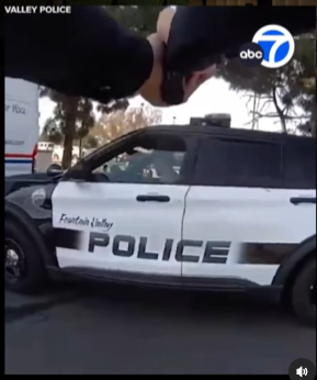 Police officer pleads