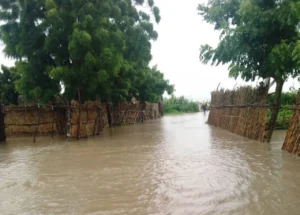 Jigawa