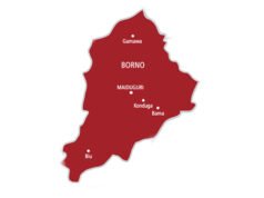 Panic As Suicide Bomber Kills 5 Soldiers In Borno Explosion suicide bomber