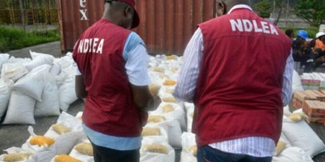 In Edo, the NDLEA seizes 53,520 kg of illegal drugs valued at approximately N777 million in the first half of 2025. In Edo, the NDLEA seizes 53,520 kg of illegal drugs valued at approximately N777 million in the first half of 2025.