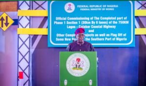 president Tinubu