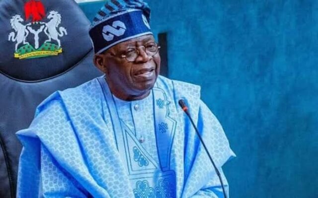tinubu democracy day