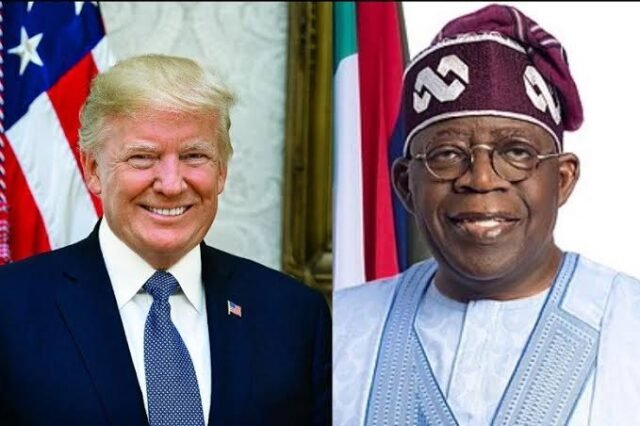 trump vs tinubu united states