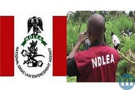 Nigeria's Drug War Heats Up: Over 1 Billion Tramadol Pills Seized in 18 Months!