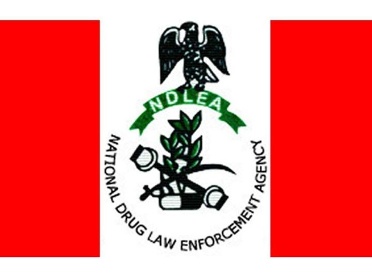 Nigeria's Drug War Heats Up: Over 1 Billion Tramadol Pills Seized in 18 Months!