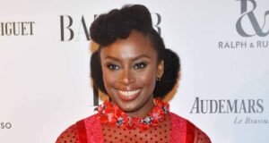 Chimamanda’s Son: Panel suspends medical director, 2 doctors over death Chimamanda