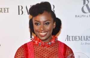 Chimamanda’s Son: Panel suspends medical director, 2 doctors over death Chimamanda