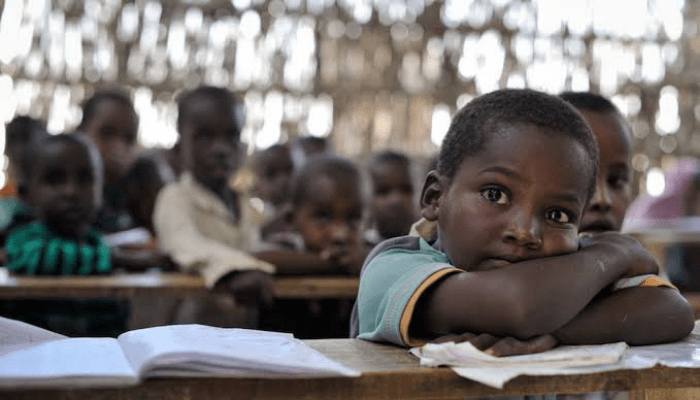 Isiani: Faulty Education Sector Responsible for Nigeria’s Stunted Socioeconomic Development