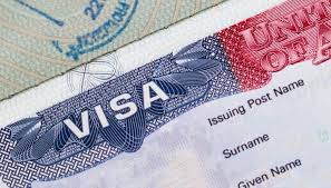 Navigating Nigeria’s Visa Shifts: Tech‑Driven Investment in a Geopolitically Restrained Era