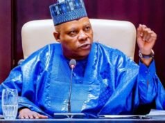 APC Finally Breaks Silence, Dismisses Alleged Plot to Drop Shettima Ahead of 2027 Elections Shettima