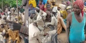 zamfara