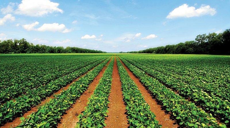 Sahel Capital Bags $10M from Mastercard Foundation to Ignite Growth in Agri-SMEs