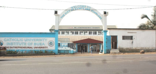 Catholic schools in Cameroon’s war-torn regions pivot to technical education Catholic schools in Cameroon’s war-torn regions pivot to technical education