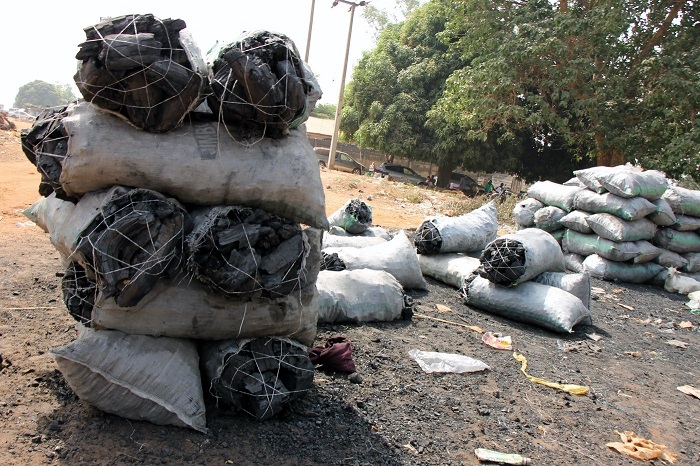 Nigeria’s Deadly Romance with Charcoal Farming