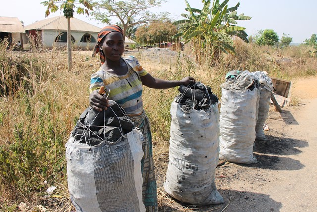 Nigeria’s Deadly Romance with Charcoal Farming