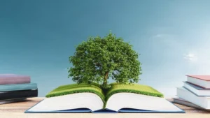 Education for Sustainability