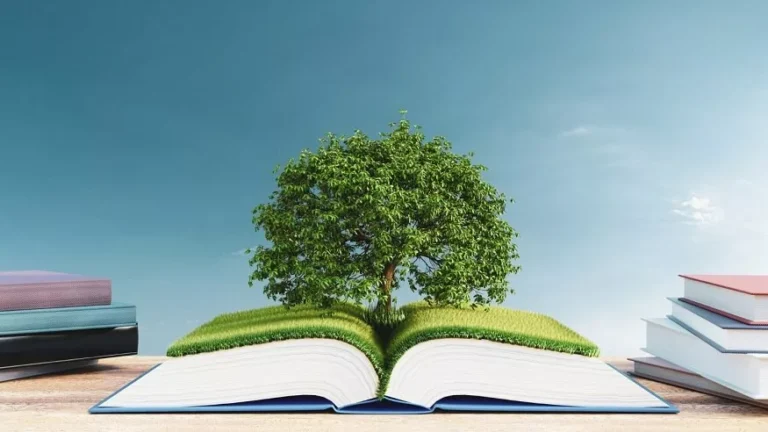 Education for Sustainability