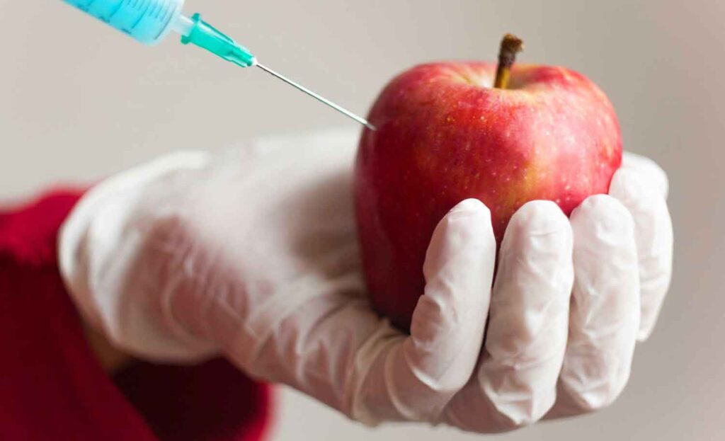 GMOs Disguised Economic Colonisation Tools — Prof. Amua
