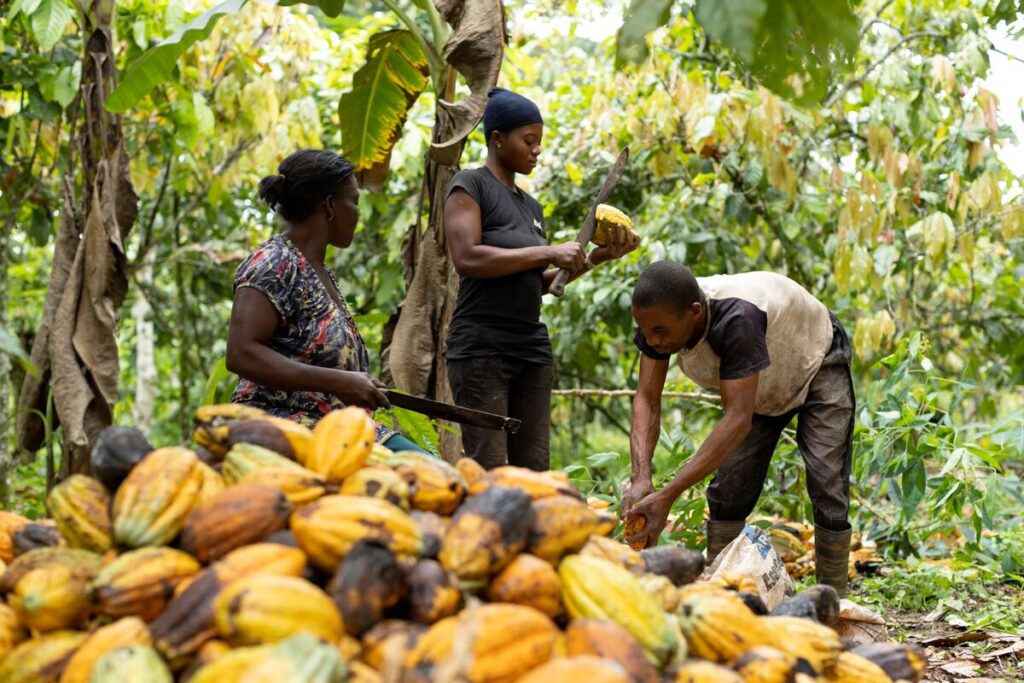 Ghana’s $100 Million AI Agriculture Deal: A Turning Point for African Farming