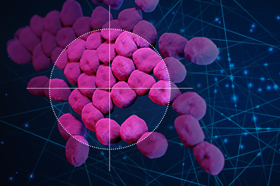 MIT AI-designed antibiotics for drug-resistant bacteria