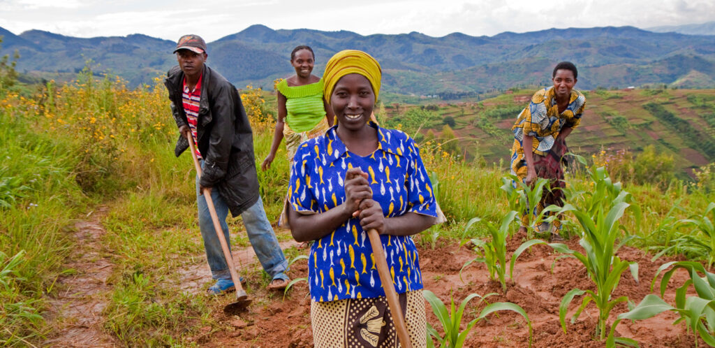 NEC and IFAD Partner to Revolutionise African Agriculture with Digital Technology