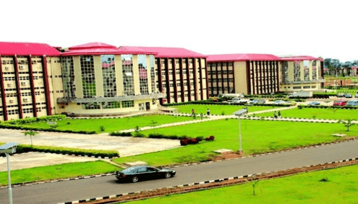 Nigerian Universities & Polytechnics: A Structured Blueprint to Reverse the Talent Deficit and Spark Development