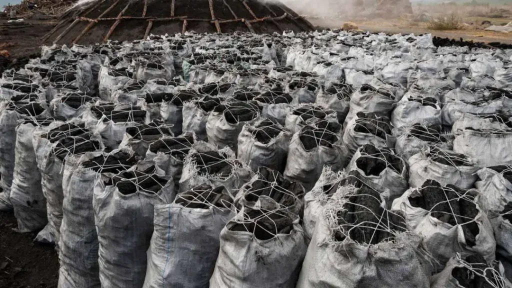 Nigeria’s Deadly Romance with Charcoal Farming