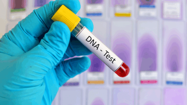 dna-testing-kits-for-ancestry-and-family-754x424 Paternity