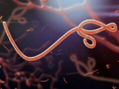 FG, NCDC On High Emergency Alert for Ebola in Lagos, FCT, 8 Others Ebola