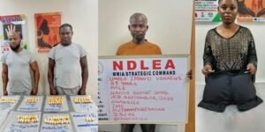 NDLEA Nabs Brazilian Returnee, Physically Challenged Dealer