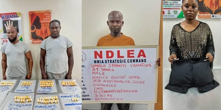 NDLEA Nabs Brazilian Returnee, Physically Challenged Dealer