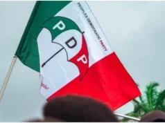 PDP is an iroko, undivided – Bode George makes bold claim PDP