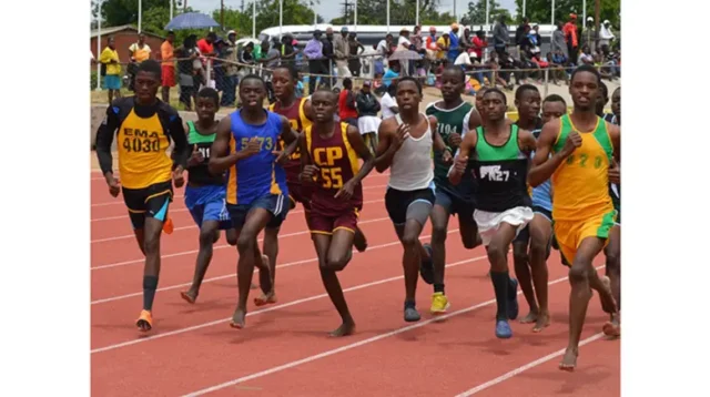 UBEC’s Grassroots Sports Vision Shines at North-East Basic Education Schools Games in Yola UBEC’s Grassroots Sports Vision Shines at North-East Basic Education Schools Games in Yola