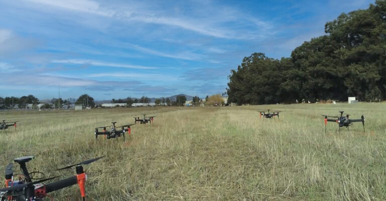 Augmented Field Labs: Using Low-Cost Drone Swarms to Teach Ecology in Urban Slums