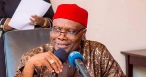 ‘Opposition Must Come Together For National Interest’ — Wabara opposition