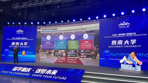 Chongqing expands global education cooperation and achieves high‐quality development