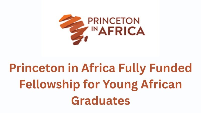 The Princeton in Africa Nexus Fellowship Opens for 2026–27